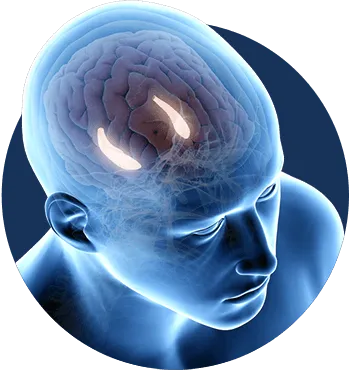 Billionaire Brain Wave buy